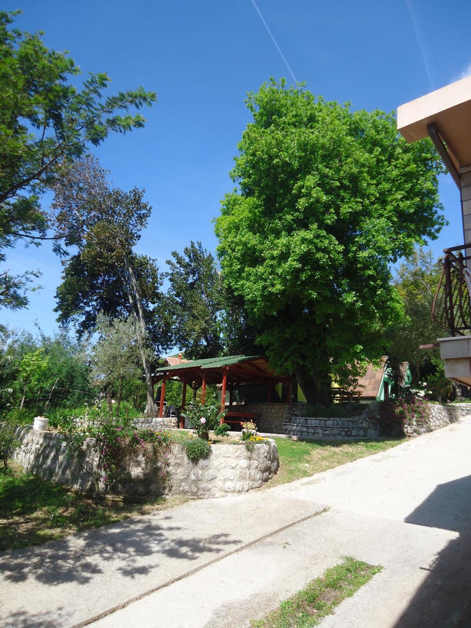 Apartments And Bungalows Mimoza Baosici Herceg Novi Buitenkant foto