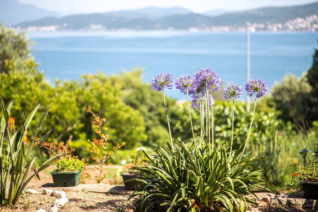 Apartments And Bungalows Mimoza Baosici Herceg Novi Buitenkant foto