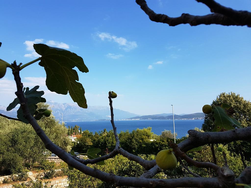 Apartments And Bungalows Mimoza Baosici Herceg Novi Buitenkant foto