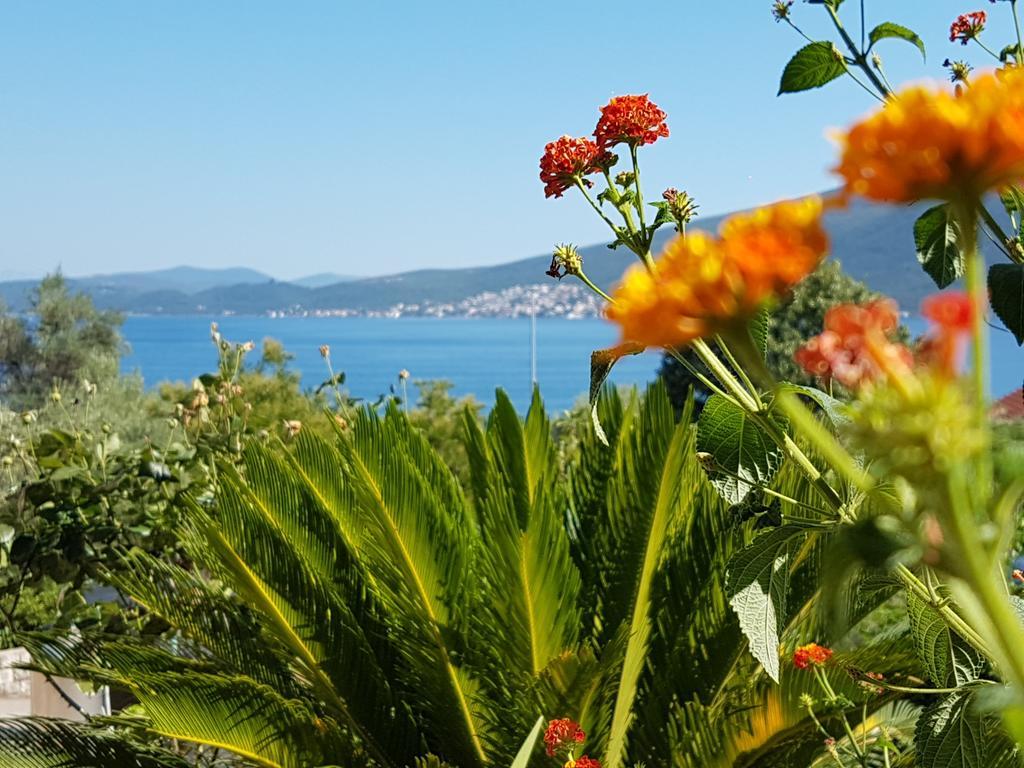 Apartments And Bungalows Mimoza Baosici Herceg Novi Buitenkant foto