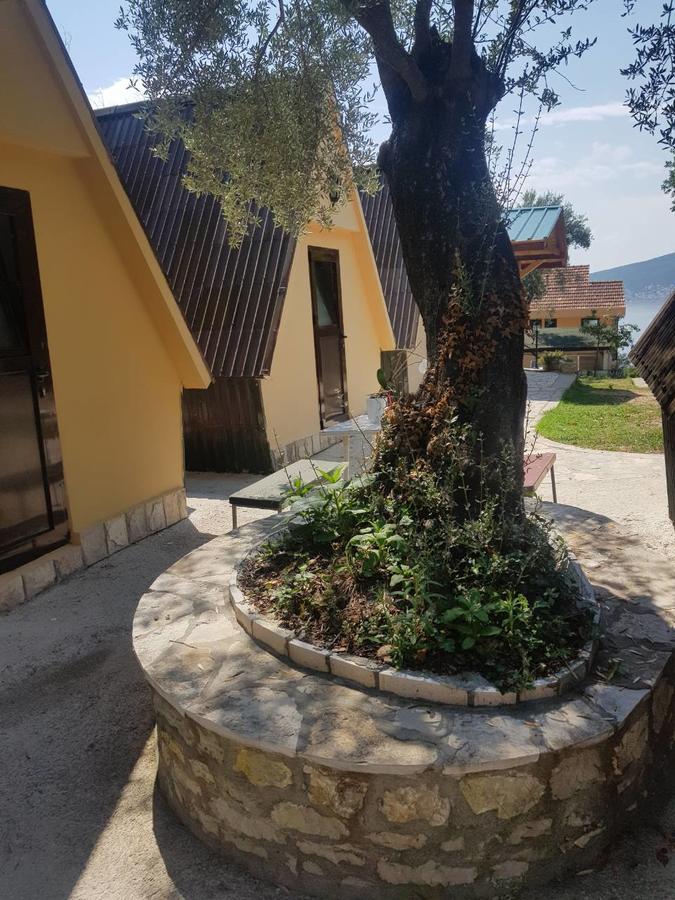 Apartments And Bungalows Mimoza Baosici Herceg Novi Buitenkant foto